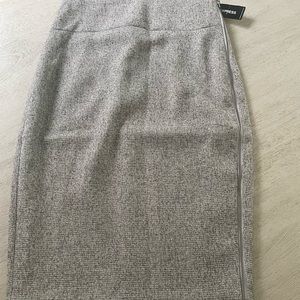 Express Pencil Skirt